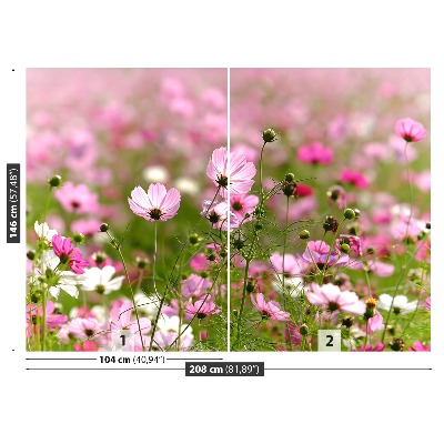 Fotobehang Kosmos-bloemen