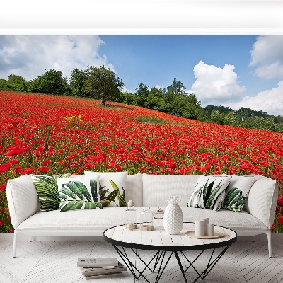 Fotobehang Poppy veld