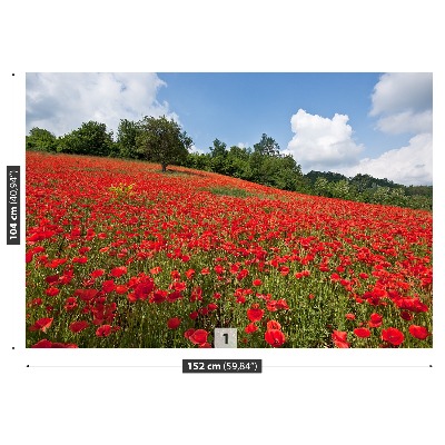 Fotobehang Poppy veld