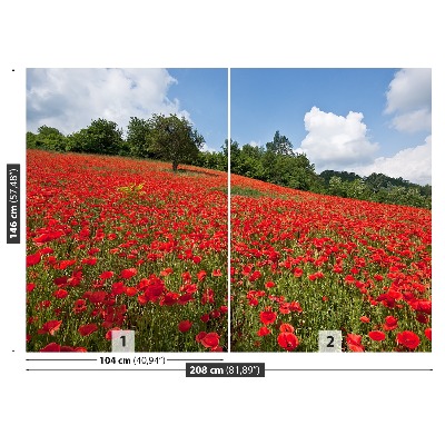 Fotobehang Poppy veld