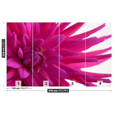 Fotobehang Dahlia roze