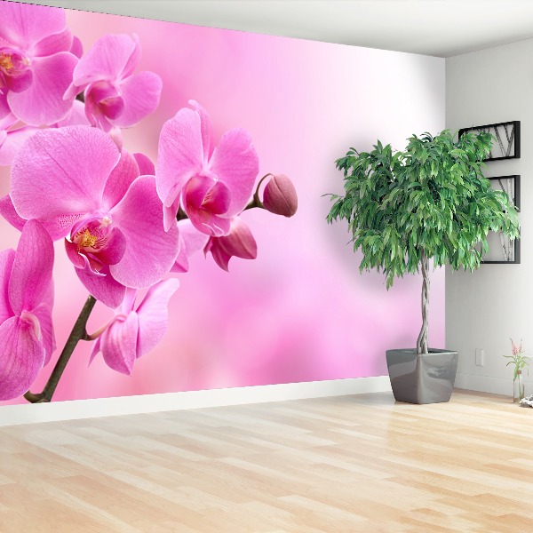 Fotobehang Roze orchidee