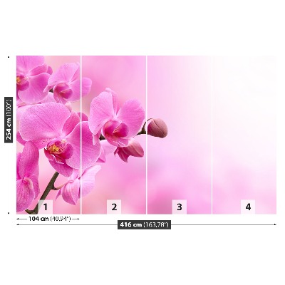 Fotobehang Roze orchidee