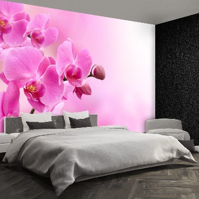 Fotobehang Roze orchidee