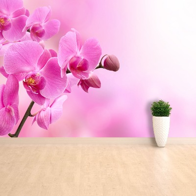 Fotobehang Roze orchidee