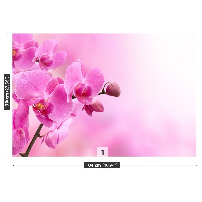 Fotobehang Roze orchidee