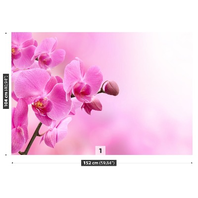 Fotobehang Roze orchidee