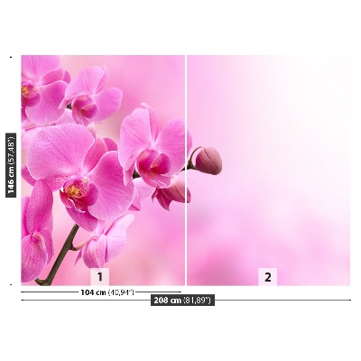 Fotobehang Roze orchidee