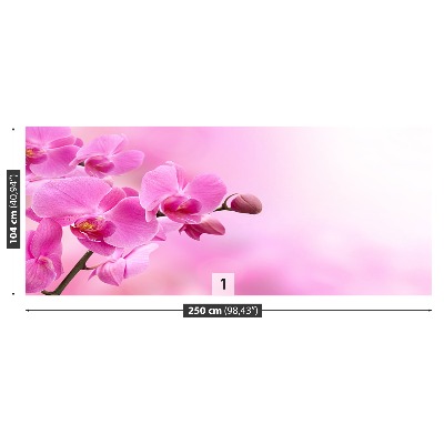 Fotobehang Roze orchidee