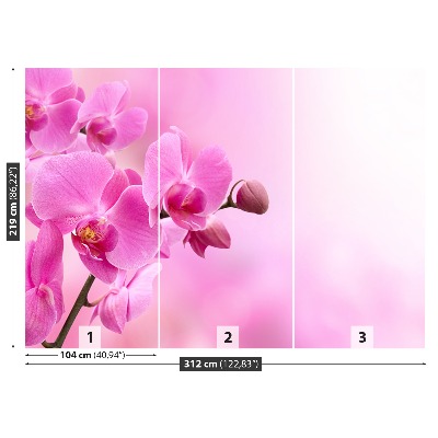 Fotobehang Roze orchidee