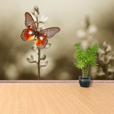 Fotobehang Vlinderbloemen