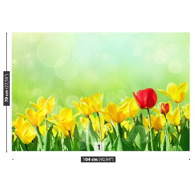 Fotobehang Gele tulpen