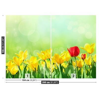 Fotobehang Gele tulpen