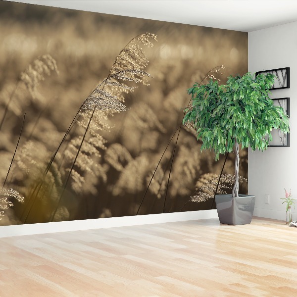 Fotobehang Beige riet