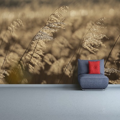 Fotobehang Beige riet