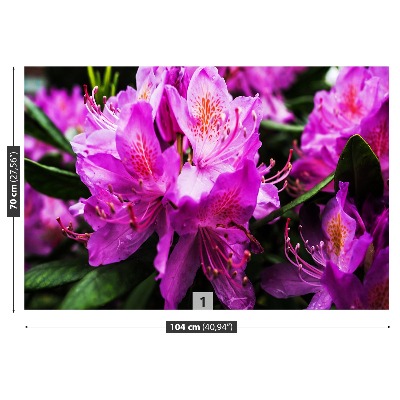 Fotobehang Paarse bloemen