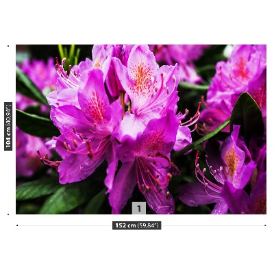 Fotobehang Paarse bloemen