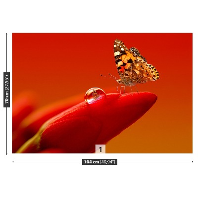 Fotobehang Tulpenvlinder