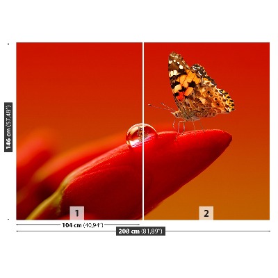 Fotobehang Tulpenvlinder
