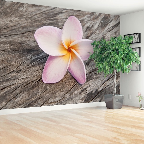 Fotobehang Frangipani hout