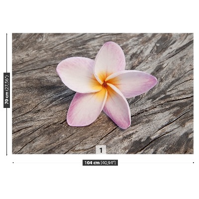 Fotobehang Frangipani hout