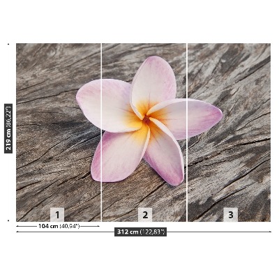 Fotobehang Frangipani hout