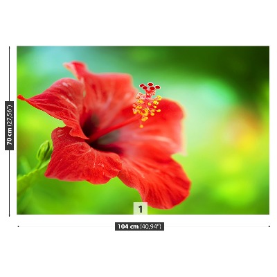 Fotobehang Rode hibiscus