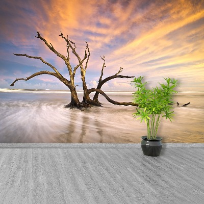 Zelfklevend fotobehang Dode boom