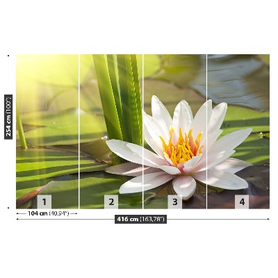 Fotobehang Lotus en vijver