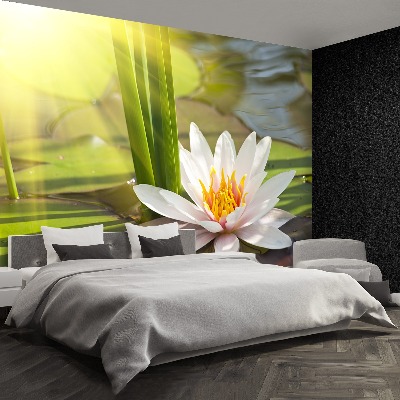 Fotobehang Lotus en vijver