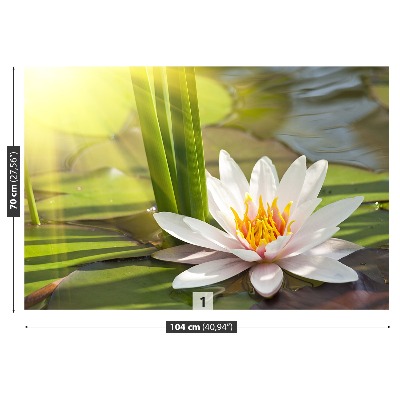 Fotobehang Lotus en vijver
