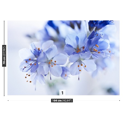 Fotobehang Blauwe bloemen