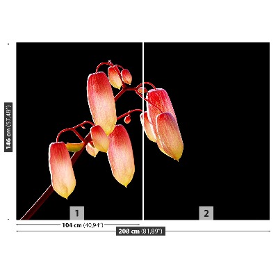 Fotobehang Zwarte bloemen