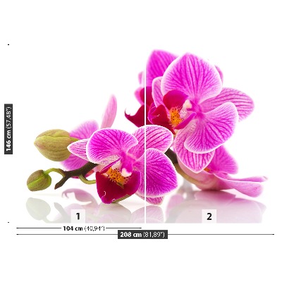 Fotobehang Orchideebloemen