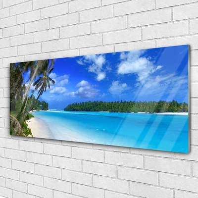 Foto op plexiglas Palm beach sea
