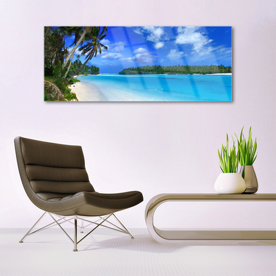 Foto op plexiglas Palm beach sea