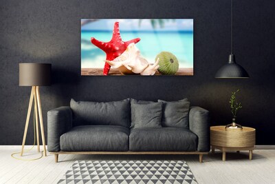 Foto op plexiglas Shell starfish art