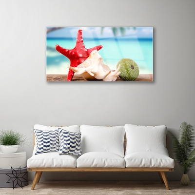Foto op plexiglas Shell starfish art