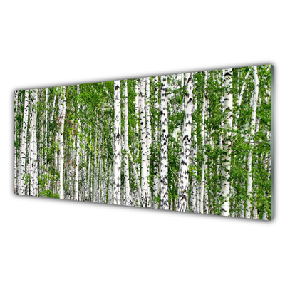 Foto op plexiglas Birch tree forest nature