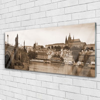 Foto op plexiglas Praag landschap van de brug