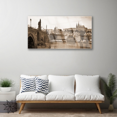 Foto op plexiglas Praag landschap van de brug