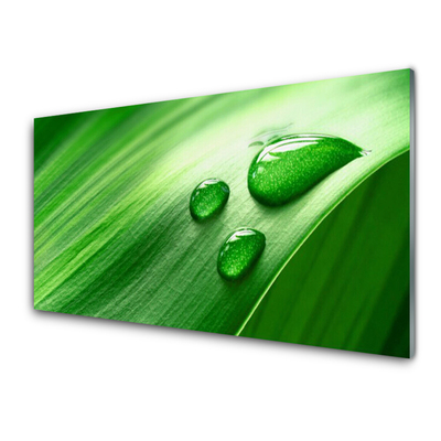 Foto op plexiglas Leaf water drops