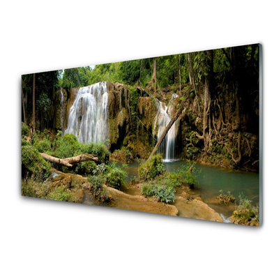 Foto op plexiglas Waterval river forest nature