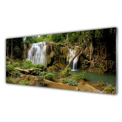 Foto op plexiglas Waterval river forest nature