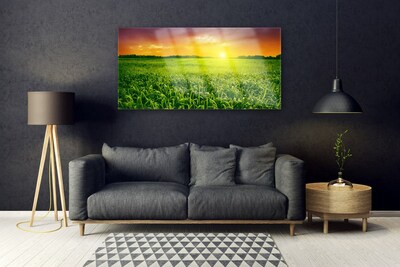 Foto op plexiglas Field sunrise tarwe