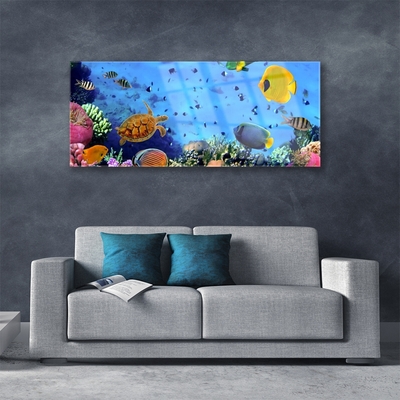 Foto op plexiglas Coral reef fish nature