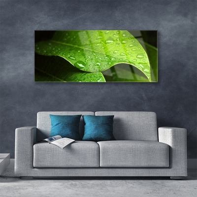 Foto op plexiglas Dauwdalingen leaf