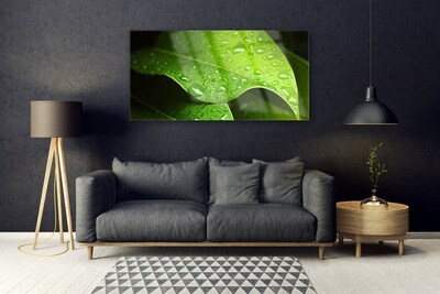 Foto op plexiglas Dauwdalingen leaf