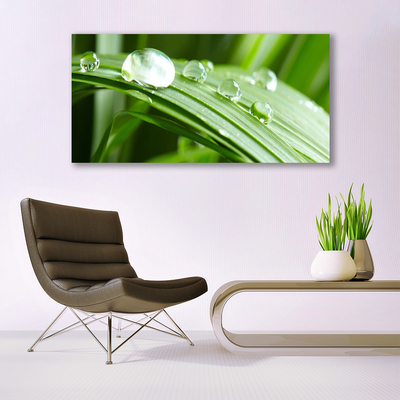 Foto op plexiglas Leaf dew drops