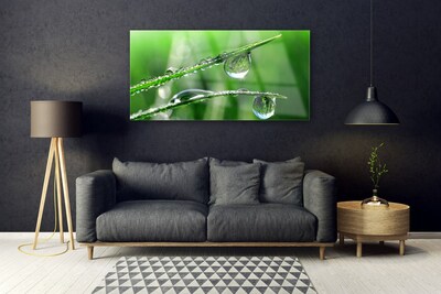 Foto op plexiglas Grass dew drops